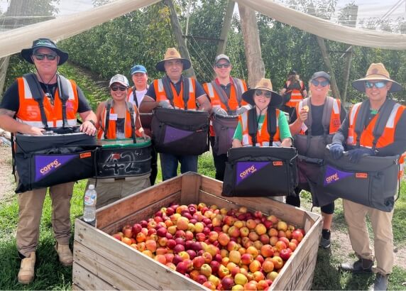 Autumn News Fruit Loop