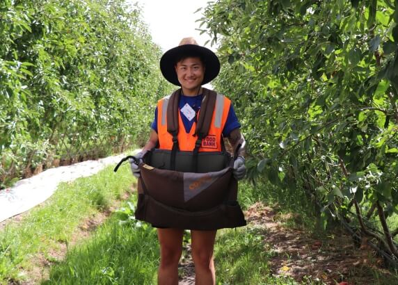 Fruit Loop participant walking in orchard