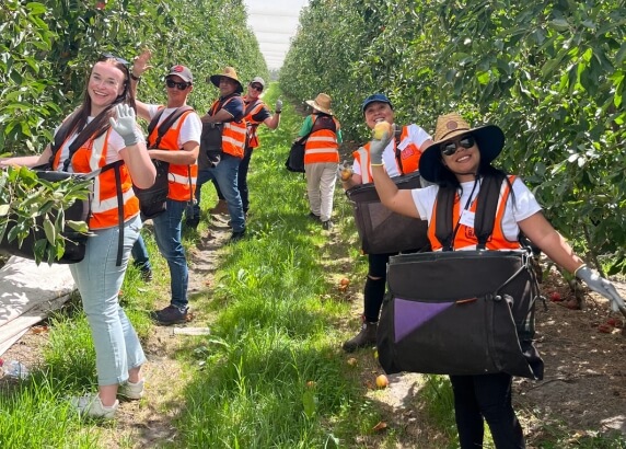 A group of Fruit Loop participants in the orchard