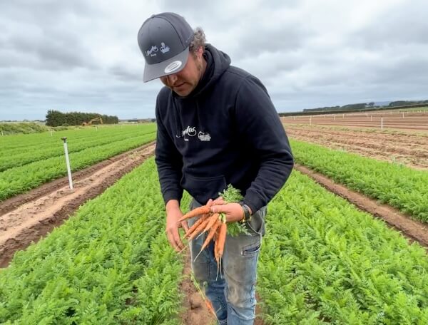 Turning food waste into healthy meals