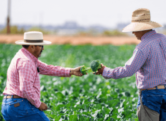 Farmers Facing Tough Times, But Generosity Still Grows