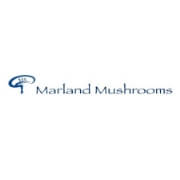 Marland Mushrooms